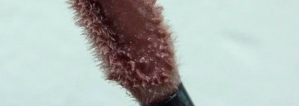 Блеск для губ Shiseido Lacquer Gloss BE 102 Debut