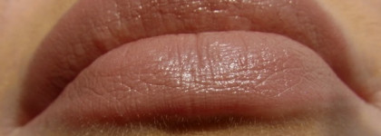 Увлажняющая помада «Совершенный цвет» Artdeco Perfect Color Lipstick #22