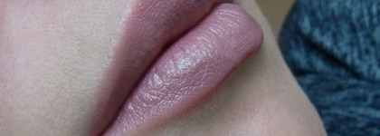 Увлажняющая помада «Совершенный цвет» Artdeco Perfect Color Lipstick #22