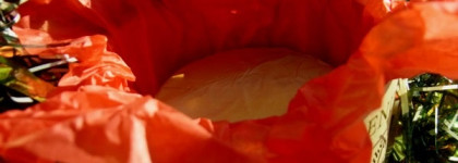 Антидепрессанты от Stenders