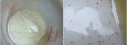 Мои дополнительные очищающие средства для жирной кожи (скраб, пилинг, маски)