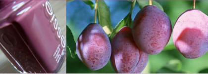 Немного осенний  Essie Angora Cardi #42