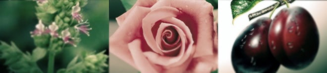 Готический L`artisan Parfumeur Voleur de Roses