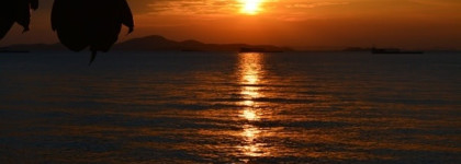 Нелегкомысленный Sisley Eau de Sisley 1