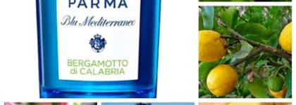 Ароматы ушедшего лета