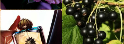 Аромагия с парфюмами Xerjoff, Initio Parfums, Amouage, Serge Lutens