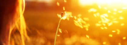 Ароматный дресс-код летом: Amouage, Zarkoperfume, Acqua Di Parma, Chabaud Maison de Parfum