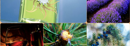 Ароматный дресс-код летом: Amouage, Zarkoperfume, Acqua Di Parma, Chabaud Maison de Parfum