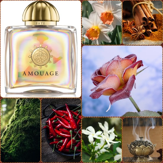 Amouage: движение солнца