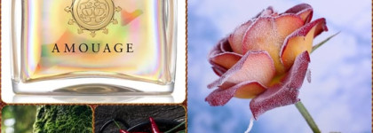 Amouage: движение солнца