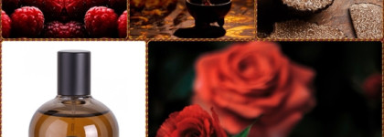 Ароматные фавориты 2020