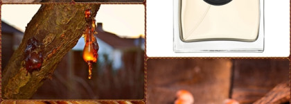 Ароматные фавориты 2020