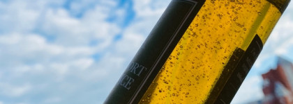 Полынь животворная: I'm From Mugwort Essence