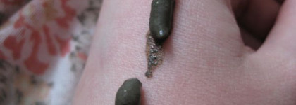 Путешествие в Гималаи «Himalaya Herbals»