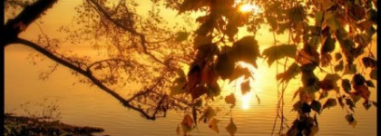 Моя золотая осень с лаками Bell №710 и Essence №67