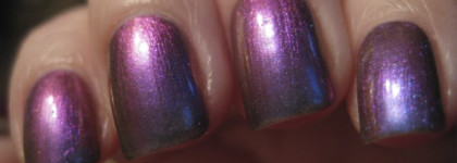 Моя любимая Aurelia # 405