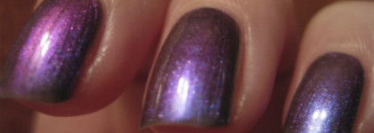 Моя любимая Aurelia # 405