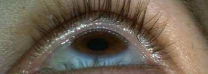 Моя королева - HR Lash Queen Feline Blacks