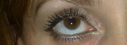 Моя королева - HR Lash Queen Feline Blacks