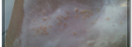 Shiseido Benefiance Extra Creamy Cleansing Foam