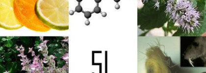 Самое дорогое в мире мыло - L’Eau Serge Lutens Serge Lutens