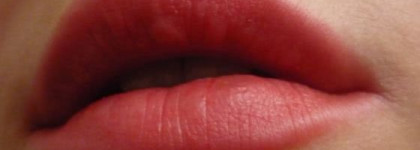 Мои помады: Rouge Dior оттенок № 999 красная птица /ara red и марки Shiseido Perfect Rouge оттенок BE109 Spiced Cream – две противоположности