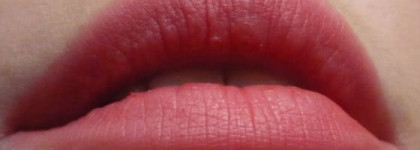 Мои помады: Rouge Dior оттенок № 999 красная птица /ara red и марки Shiseido Perfect Rouge оттенок BE109 Spiced Cream – две противоположности