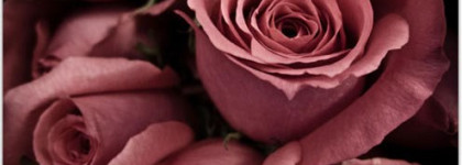 Chanel: мои осенние фавориты Chanel Le Vernis # 521 Rose Cache и # 525 Quartz