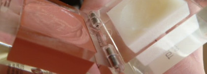 Из косметички Виктории Бони: Inglot Lip Duo Lip Gloss # 30