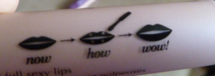 Benefit Lip Plump; Л’этуаль Starlette brilliant a levres volume 3d effect de vinyle; Givenchy Le Pinceau Powder Brush