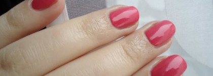 Цветение с Pupa Lasting Color серии Jeans N'roses №210