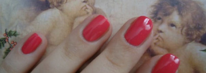 Цветение с Pupa Lasting Color серии Jeans N'roses №210