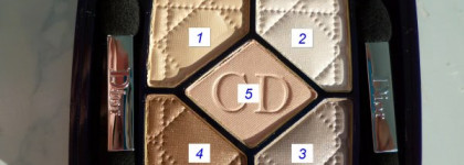 Осенние дни с палеткой Dior 5 Couleurs 030 Incognito