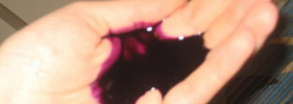 Шампунь Concept и Estel Professional Sunflower