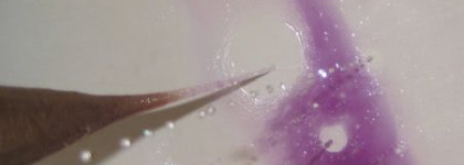 Шампунь Concept и Estel Professional Sunflower