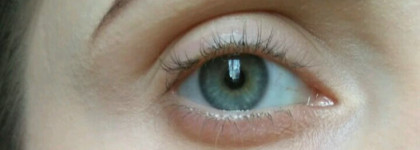 Маскирующее трио - мои бюджетные консилеры