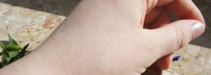 И снова они...или Guerlain Meteorites Perles оттенок Teint Dore