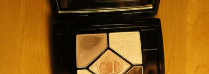 Dior 5 Couleurs Designer "Архитектура взгляда" 508