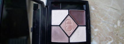 Dior 5 Couleurs Designer "Архитектура взгляда" 508