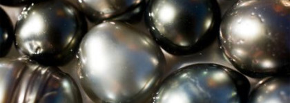 Моделирующая компактная пудра Terra-Cotta Glow от Shiseido