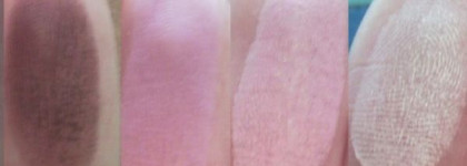 Тени для глаз Flormar Pretty Compact. Четырехцветные