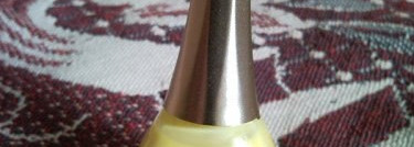 Мой солнечный Golden Rose Paris # 85