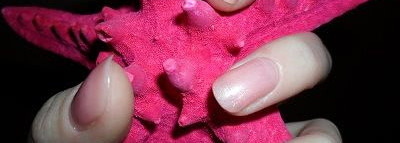 Rimmel Lycra Pro №287 Bahamas flirt