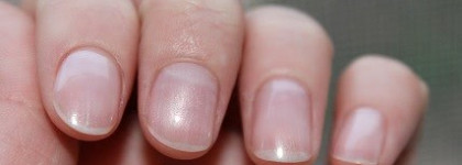 Bell French manicure 04 и Sally Hansen Smooth Perfect 02 Linen