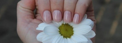 Любимые лаки Sally Hansen