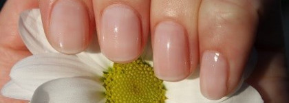 Любимые лаки Sally Hansen