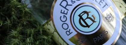 Моя Франция