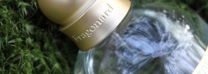 Моя Франция