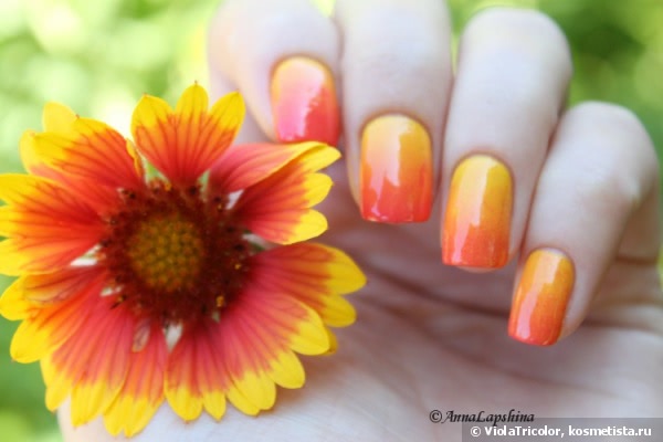 Лаки Golden Rose Rich Color Nail Lacquer №37,№48 и градиент с ними