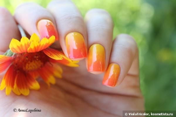 Лаки Golden Rose Rich Color Nail Lacquer №37,№48 и градиент с ними